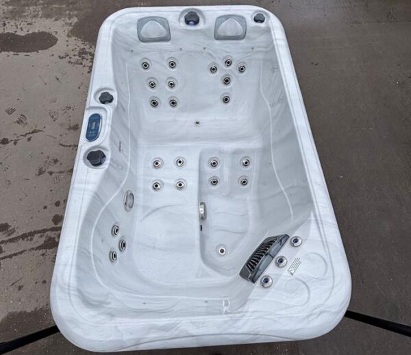 palm spas dual lounger