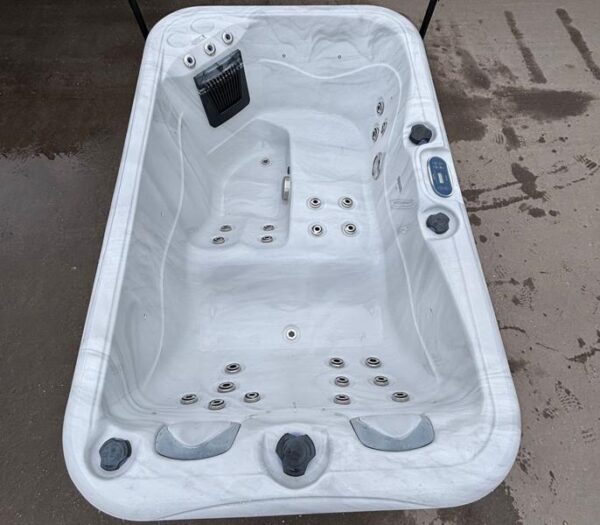 palm spas dual lounger