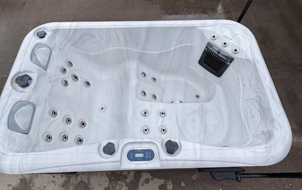 palm spas dual lounger